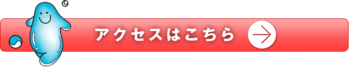 アクセスはこちら